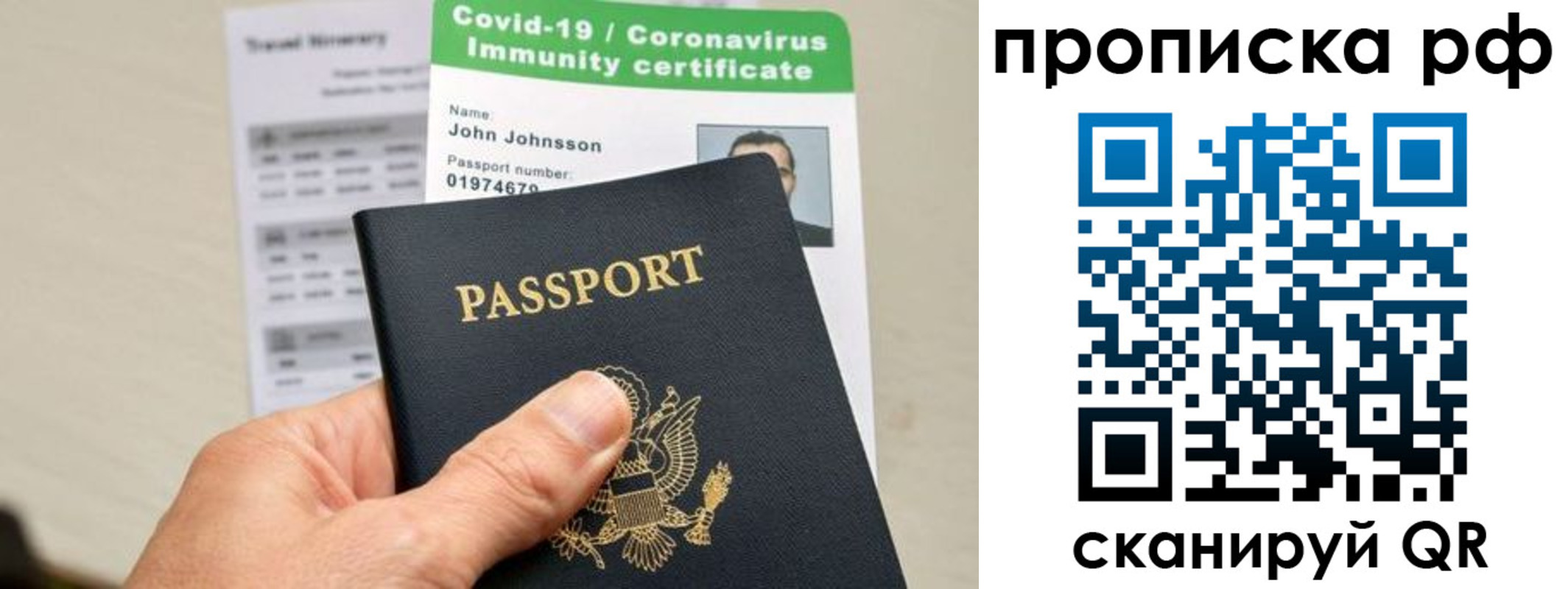 прописка в Пионерском